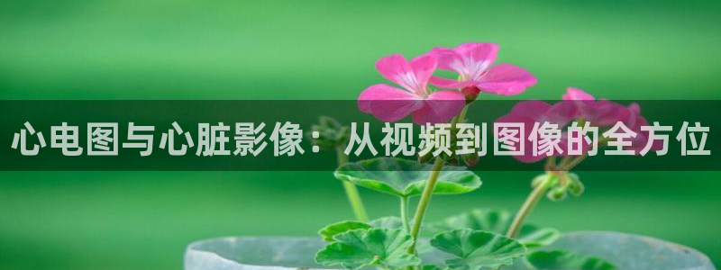 电影《桃花源》免费播放