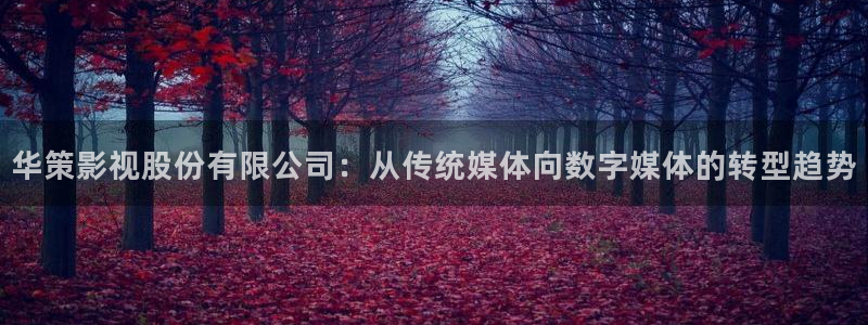 桃花影视在线观看