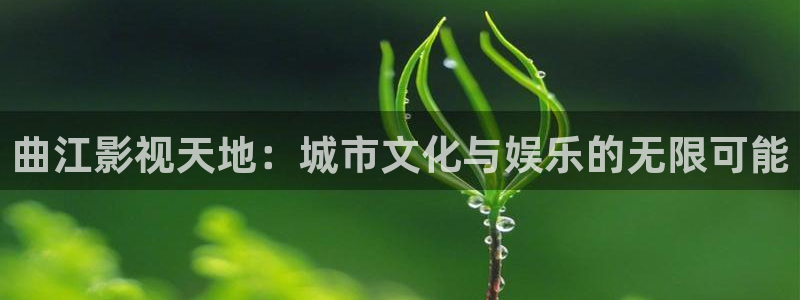 桃花影院免费视频